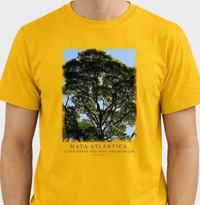 Mata Atlântica