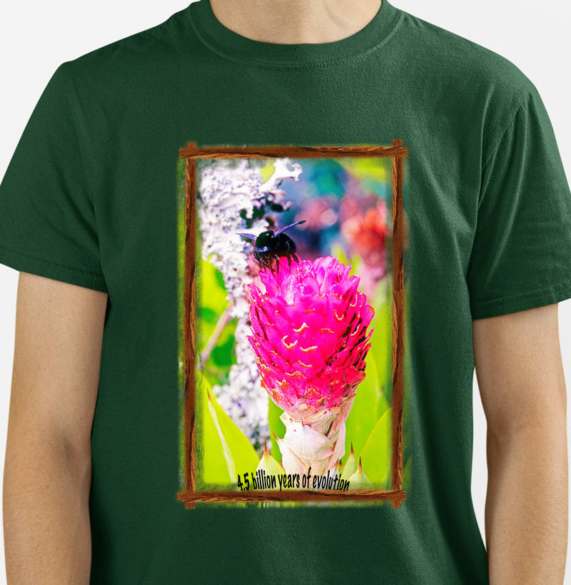 4,5 Billion Years of Evolution