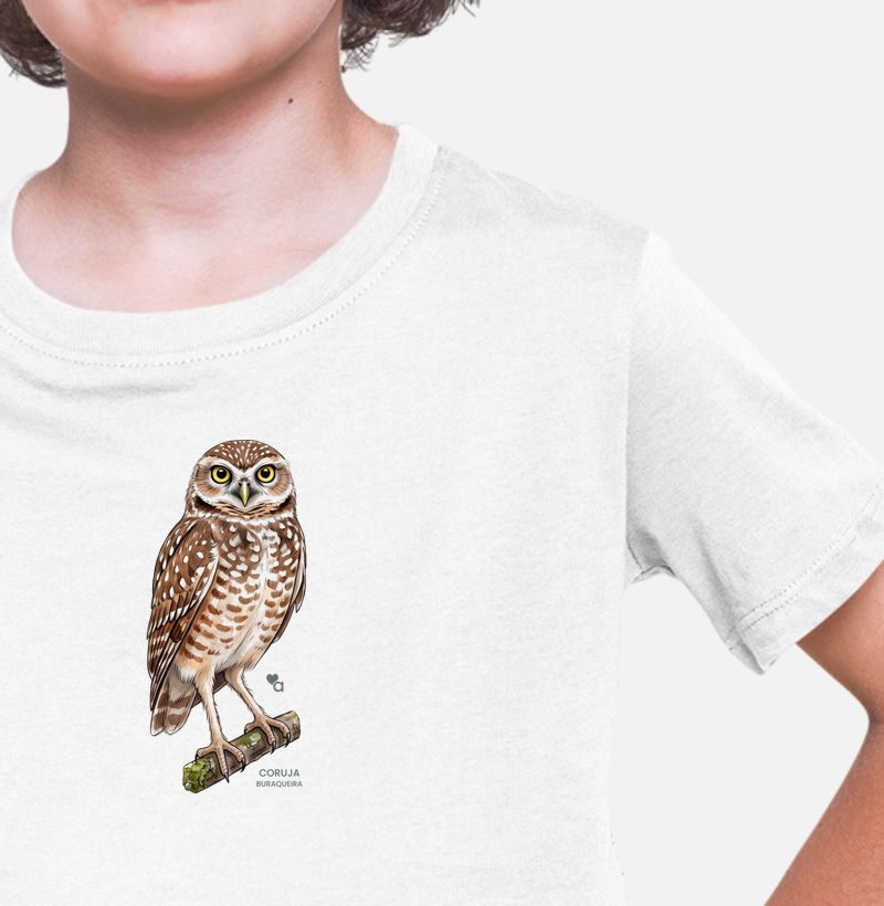 Aves - Coruja-buraqueira - Infantil