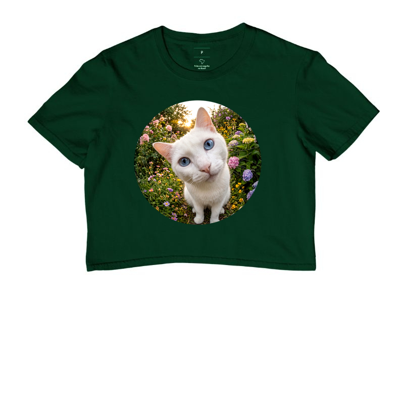 Gato Branco de Olho em Você