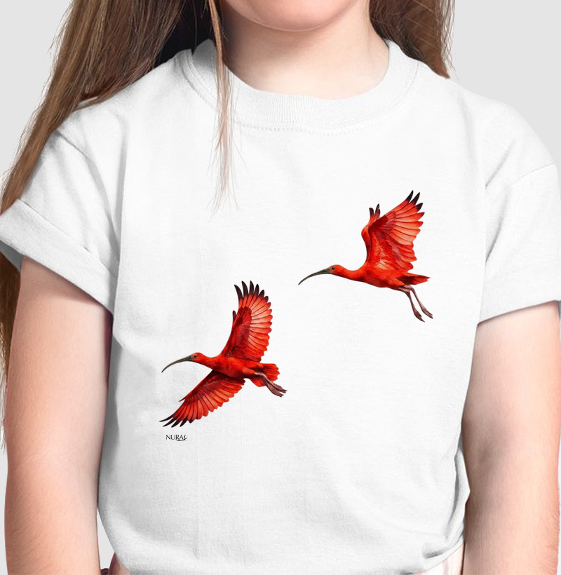 Sinfonia dos Guarás