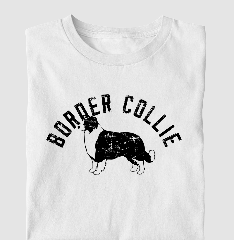 Border Collie Preto Vazado