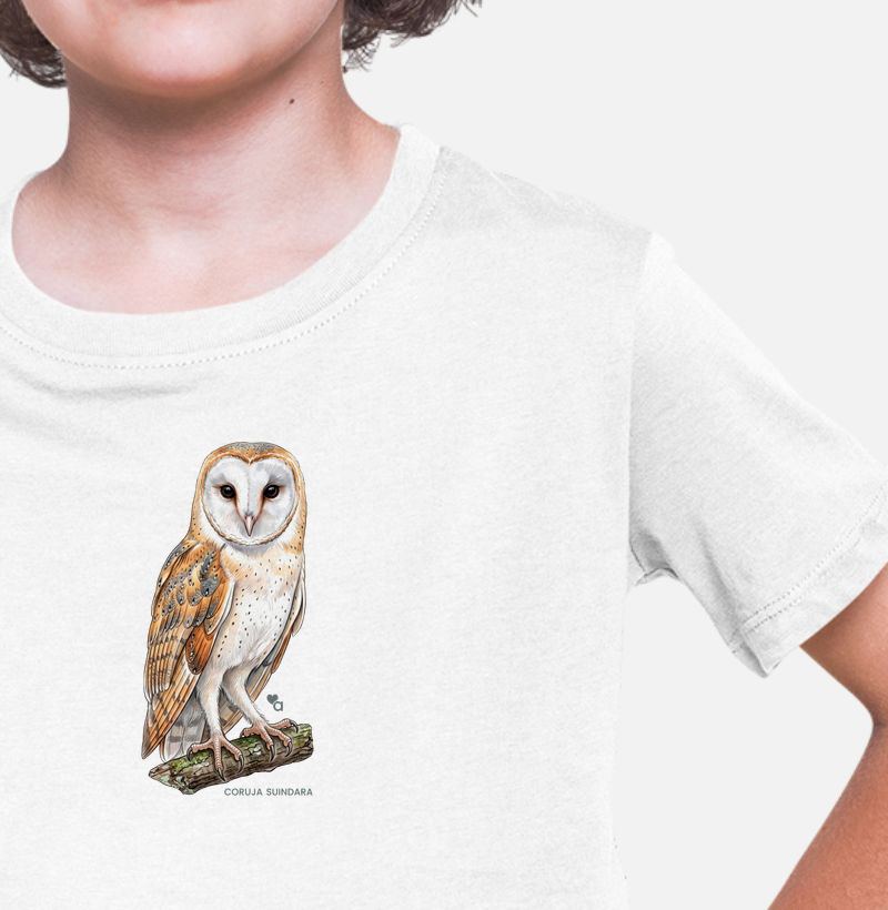 Aves - Coruja Suindara - Infantil