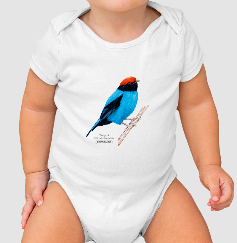 Aves do Brasil - Tangará - Body Infantil