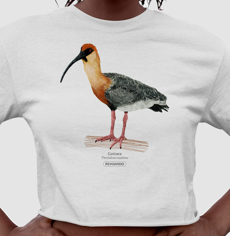 Inky Aves - Curicaca - Cropped
