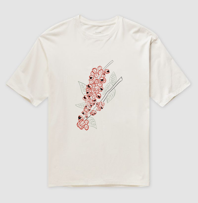 Guaraná II