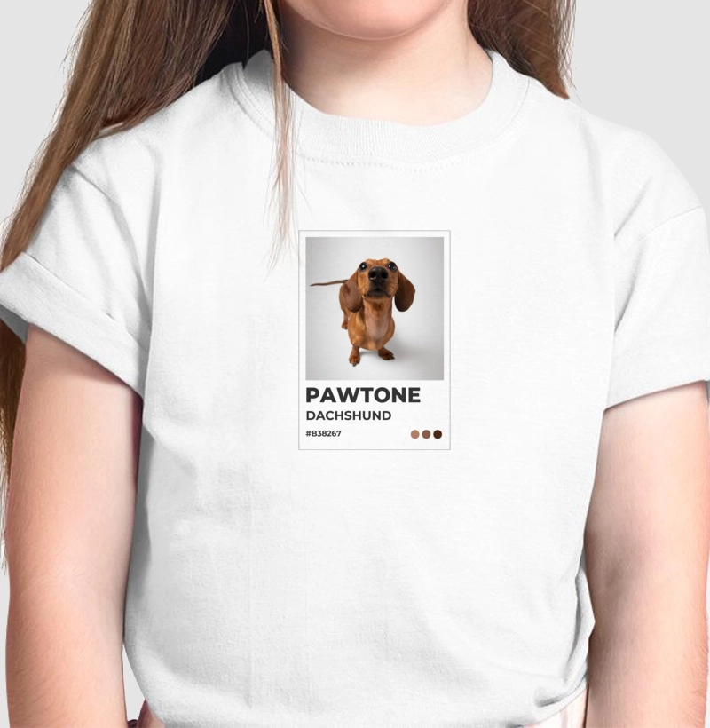 Pawtone Dachshund