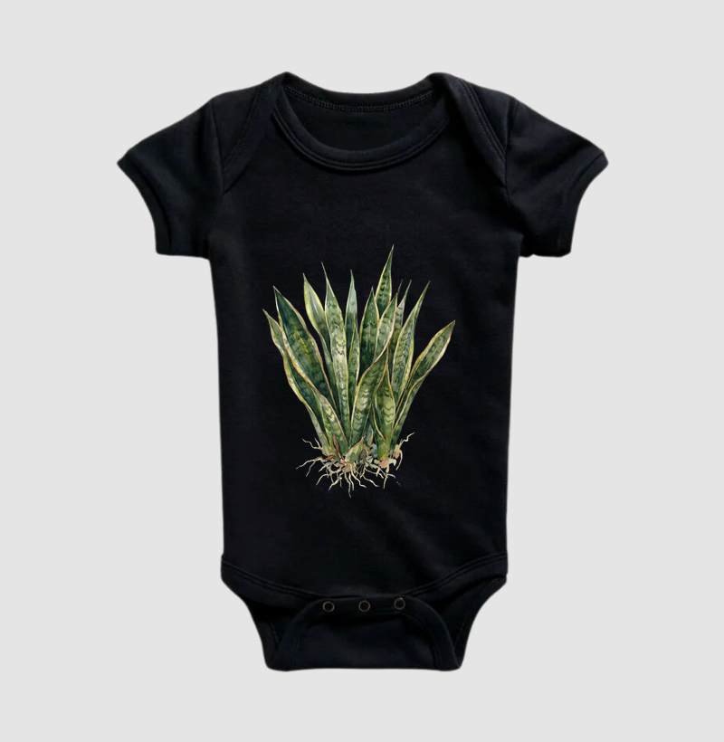 Espada-de-São-Jorge