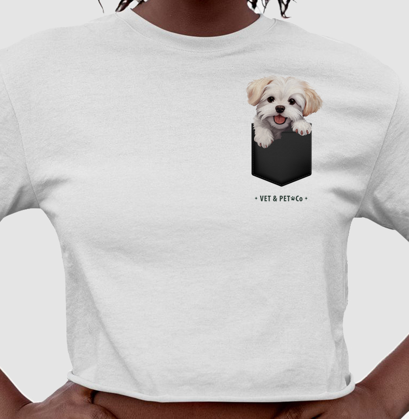 Cachorro de bolso (Maltês)