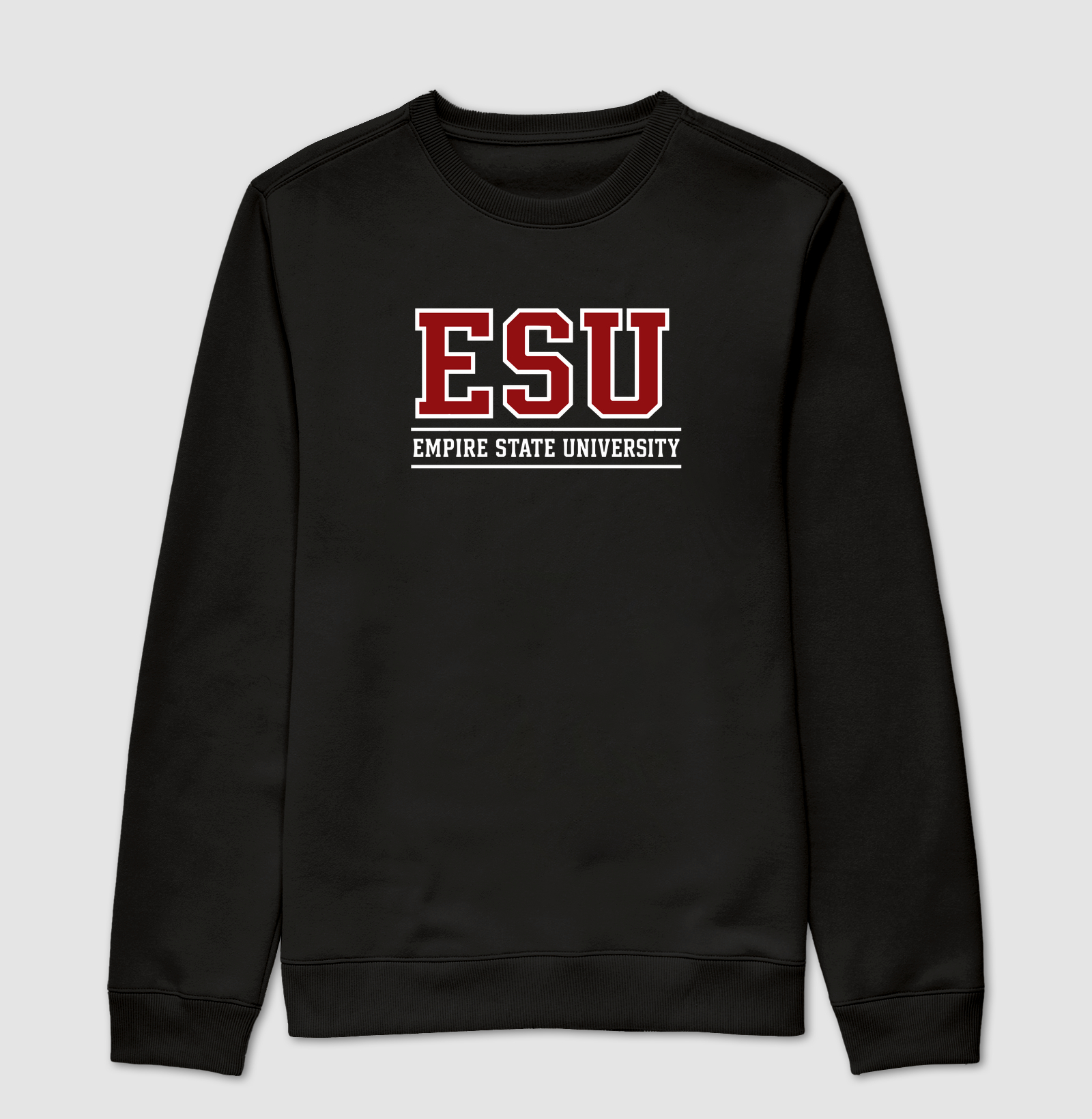 Empire State University - Suéter Moletom