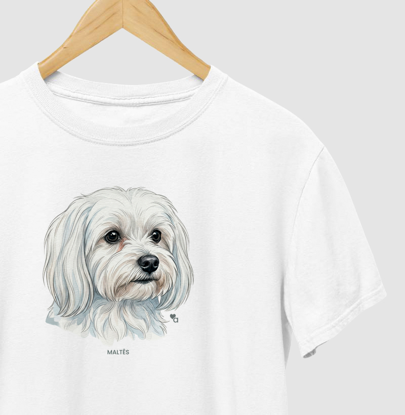 Cães - Maltês