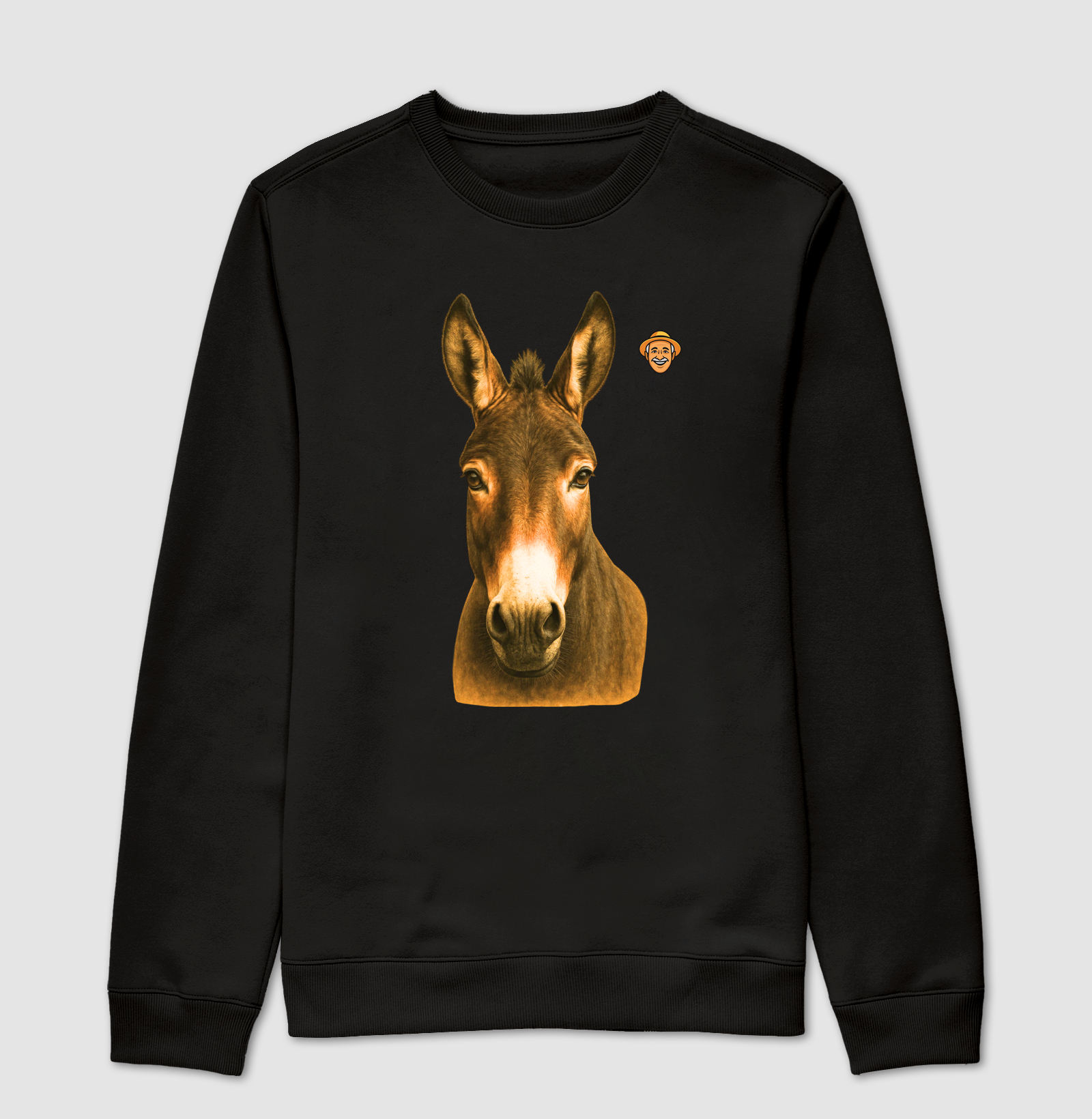 Burro