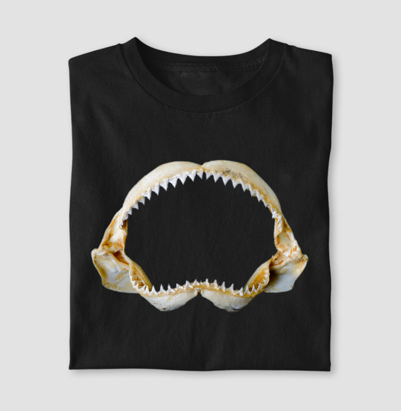 Jaws