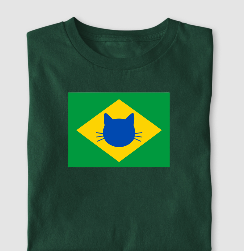 bandeira do brasil