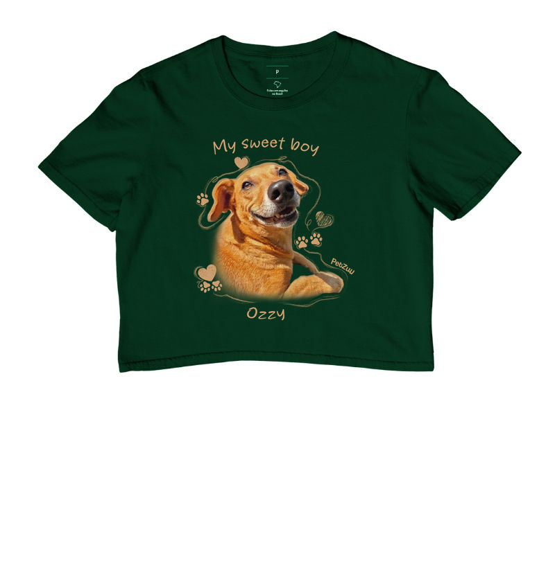 PTZU_UN-001