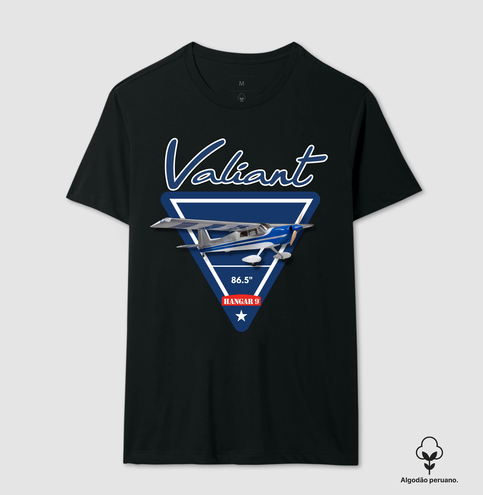 Valiant 20cc