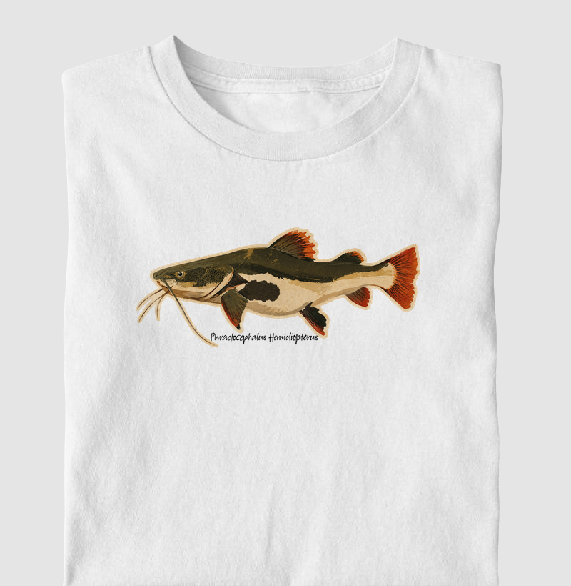 Pirarara 🐟