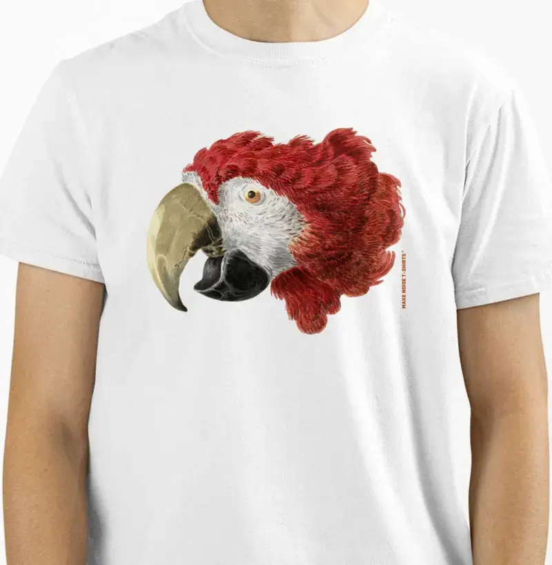 CABEÇA DE UMA ARARA (1725–1792) de Aert Schouman 