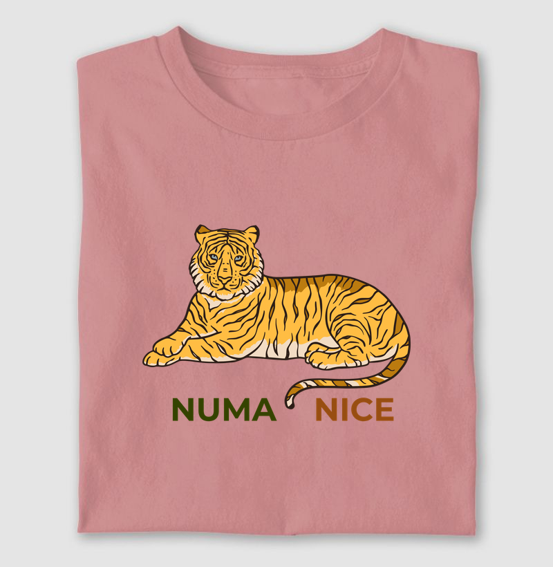 Numa Nice 