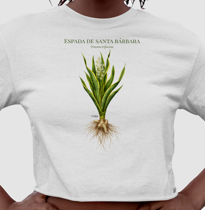 Espada de Santa Bárbara