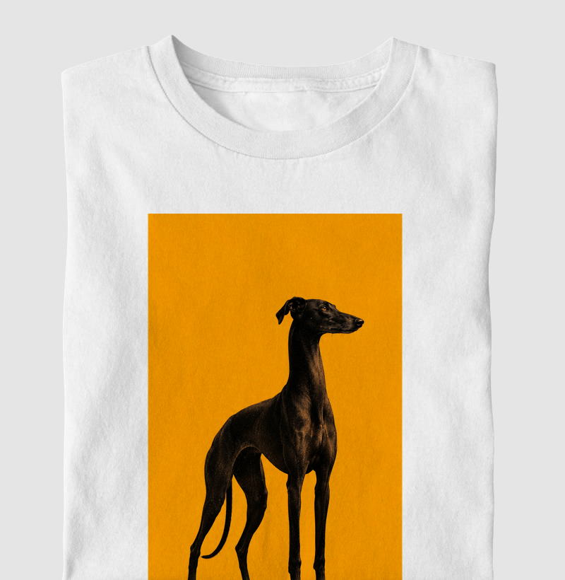 🖤🐕 Galgo Noir 🐕🧡