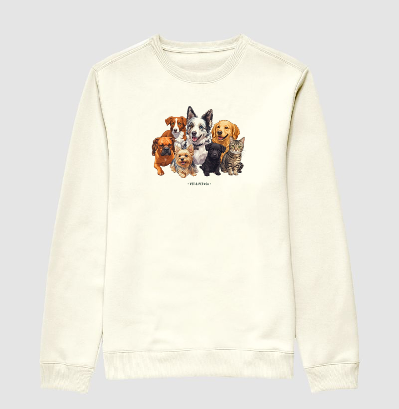Cachorros e gato