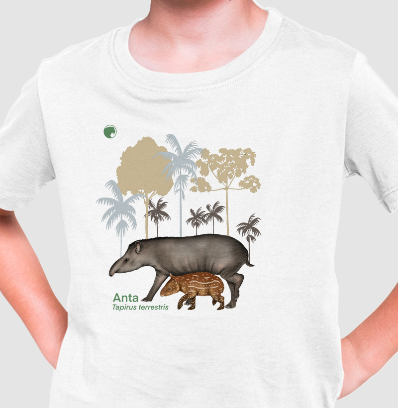 Camiseta Infantil Anta