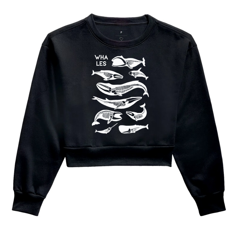 Hoodie Whales