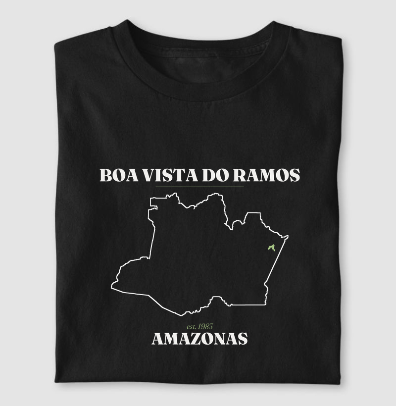 Boa Vista do Ramos | Legado AM