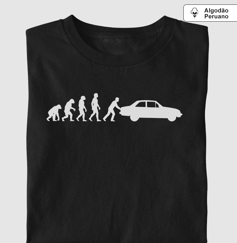 Evolução Chevetteiro