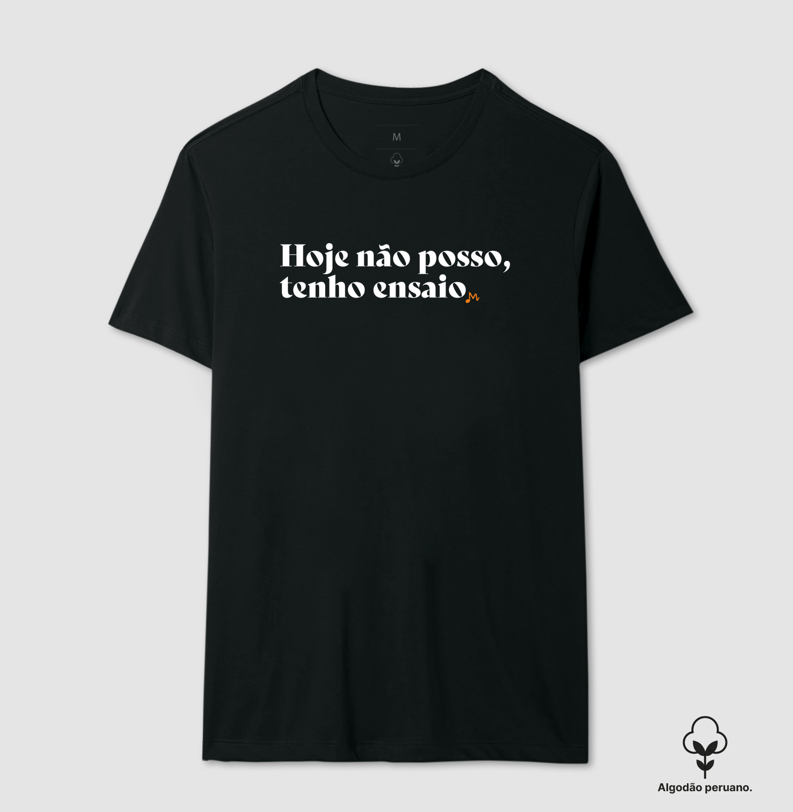 "Hoje Não Posso Tenho Ensaio" - Vida de Banda