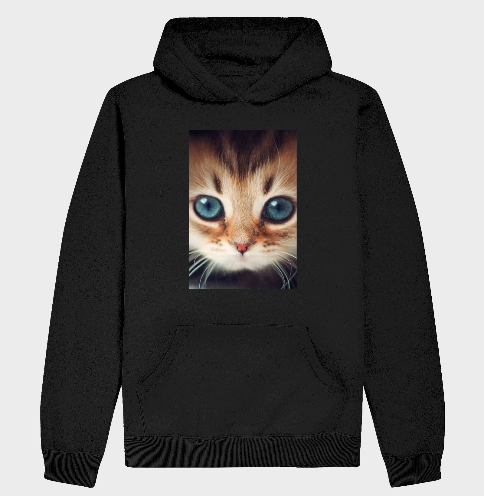 Gatinho