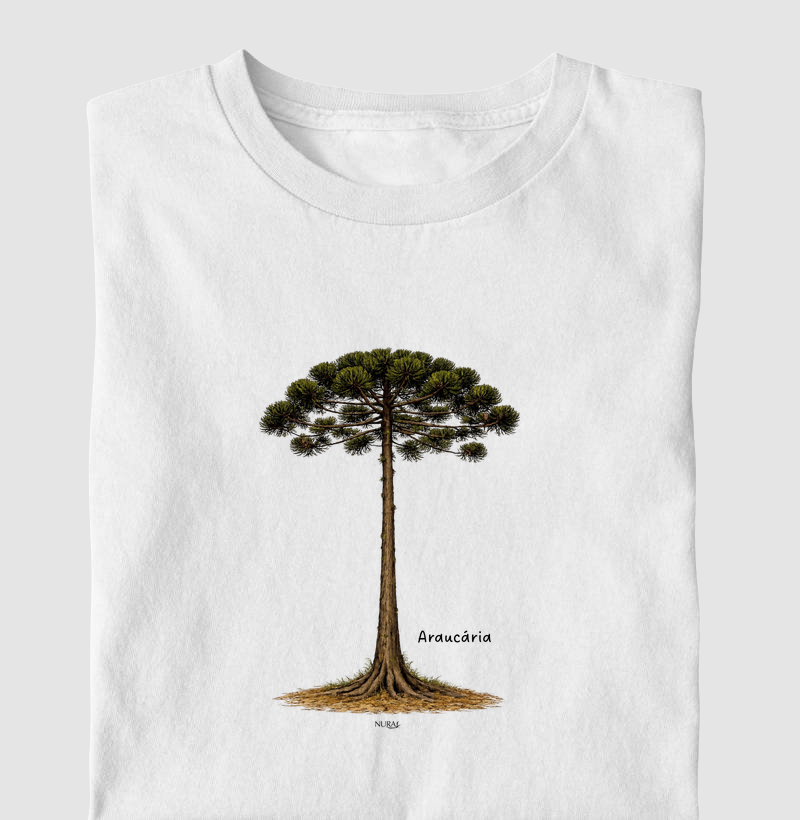 Araucária