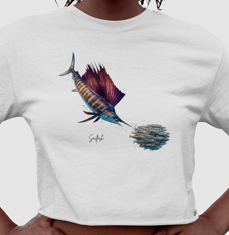 Sailfish