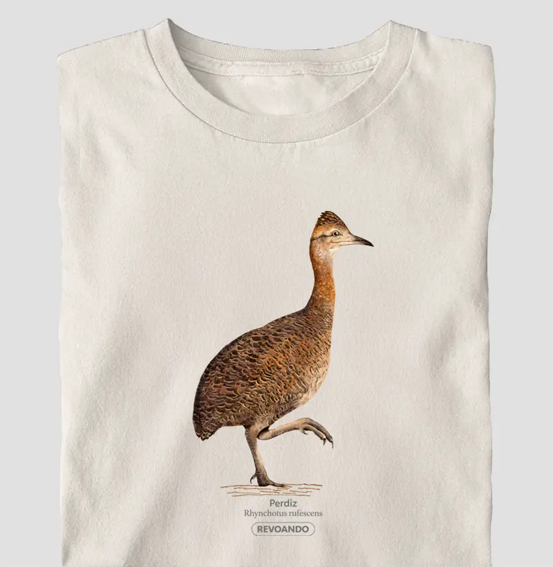 Traços Alados - Perdiz - Oversized