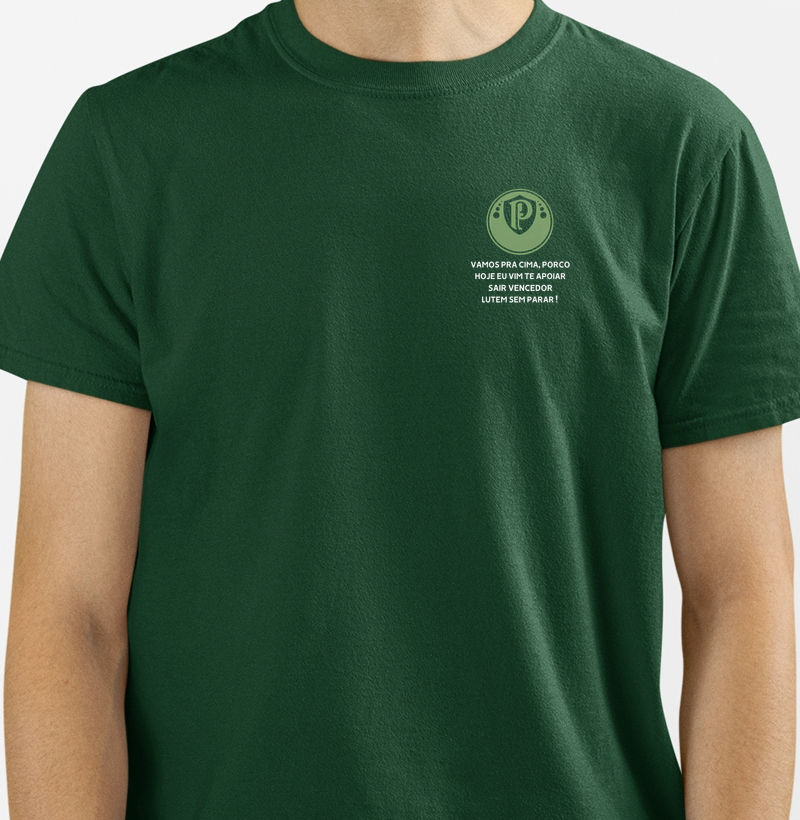 Futebol Times Palmeiras