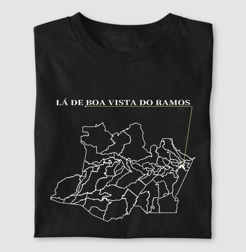 Boa Vista do Ramos | Origem AM