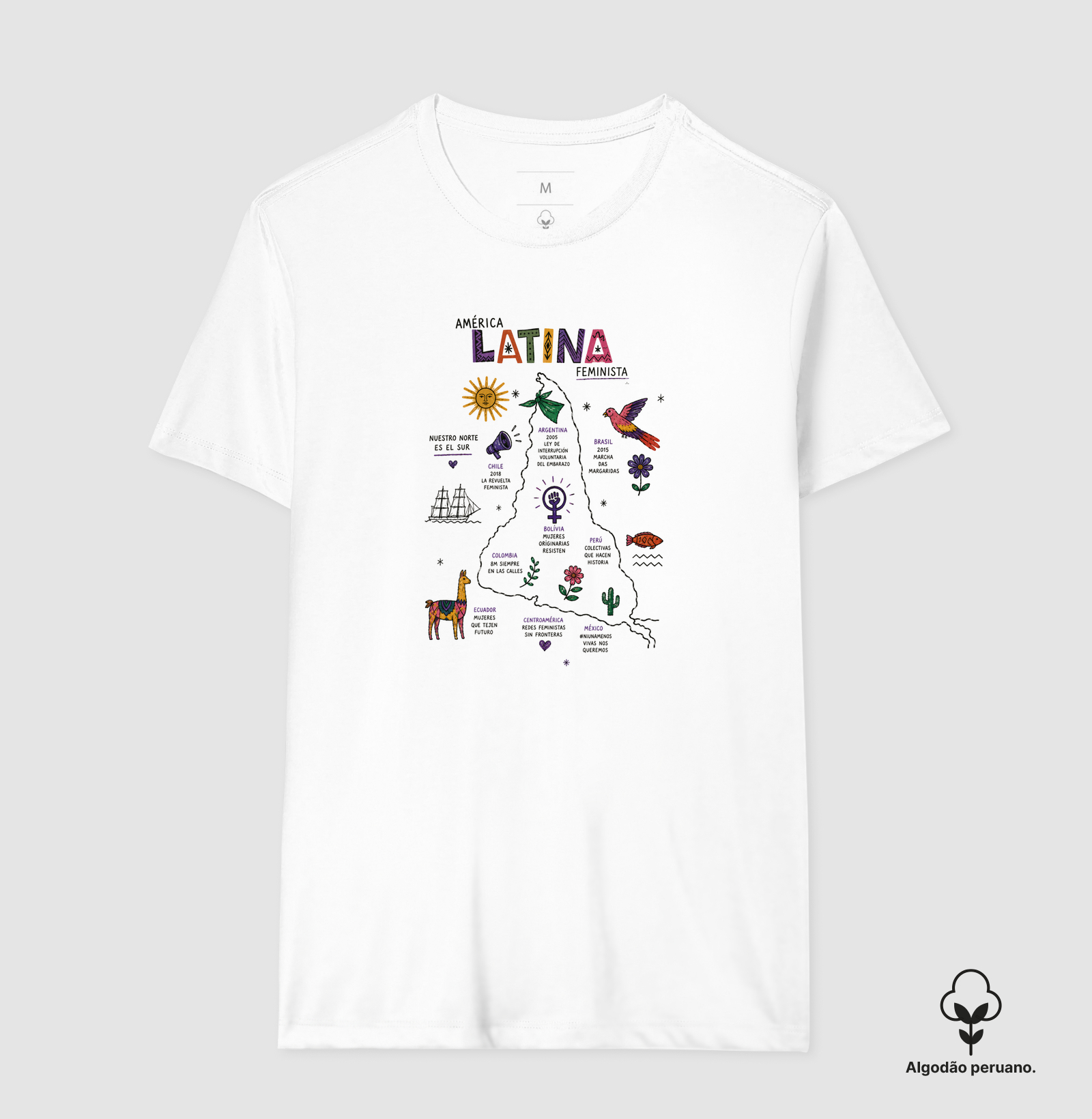 América Latina Feminista