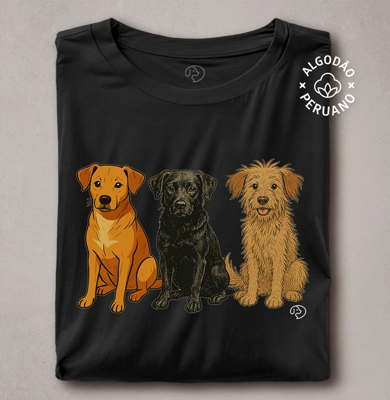 Trio Parada Dura