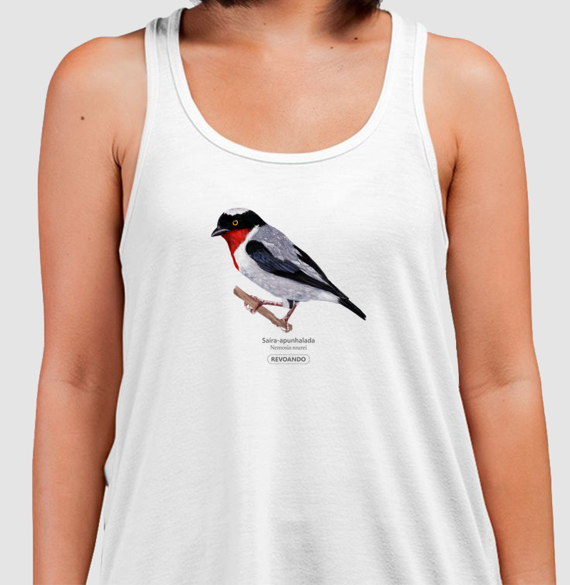 Aves do Brasil - Saíra-apunhalada - Regata