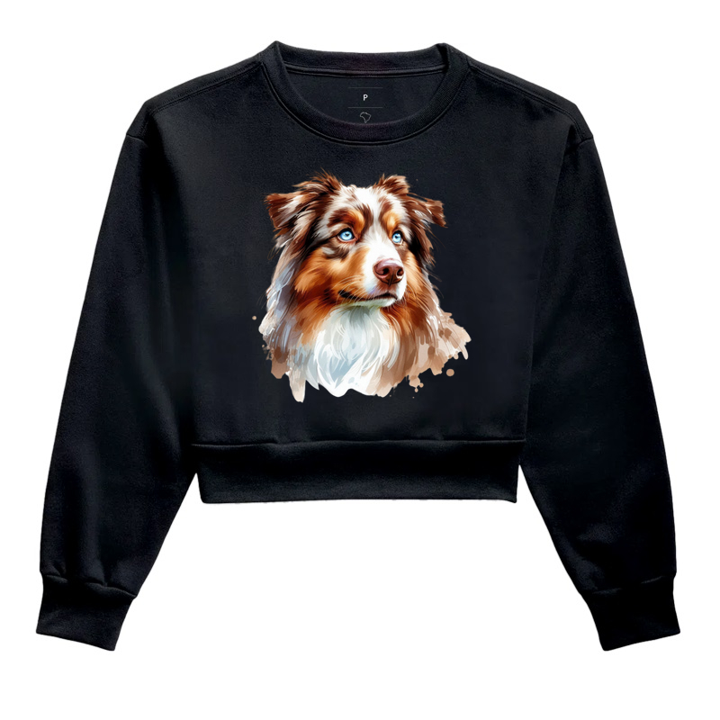 Australian Shepherd Red Merle 02