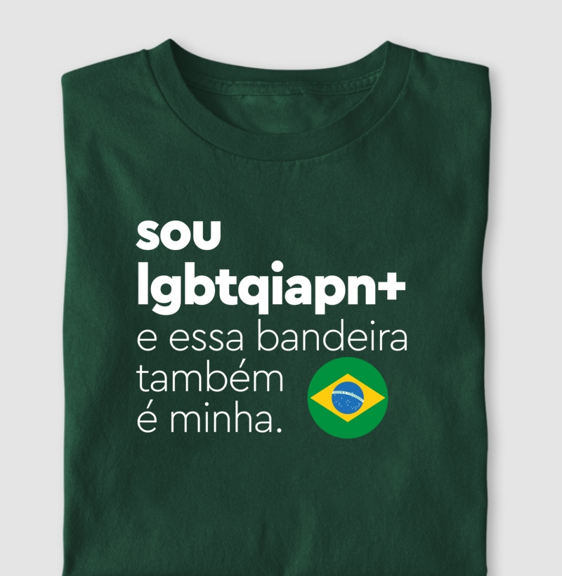 Sou LGBTQIAPN+ e essa bandeira também é minha.