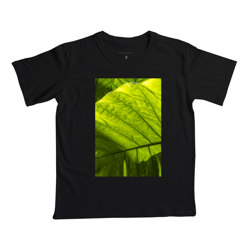 Alocasia
