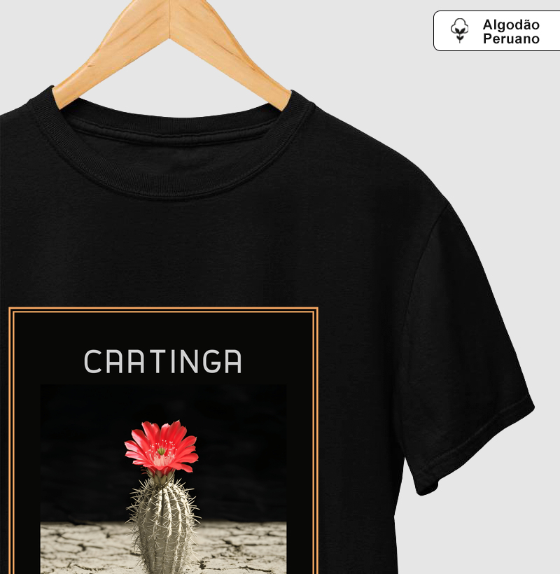 Caatinga 