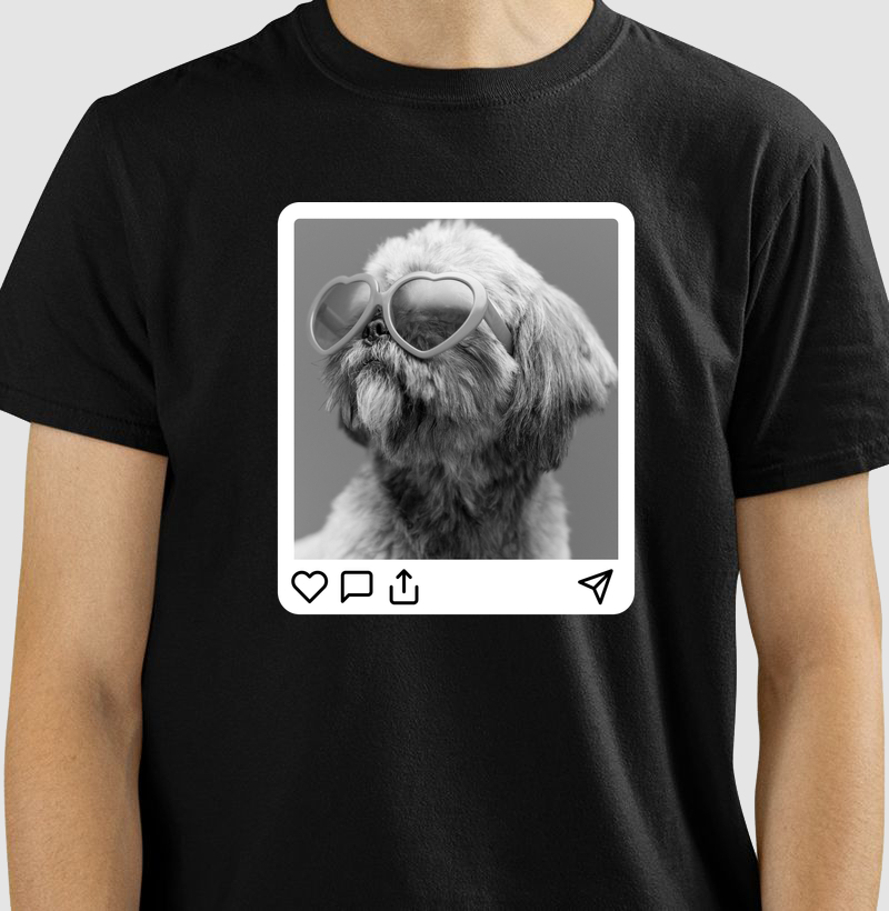 Pawfect Post