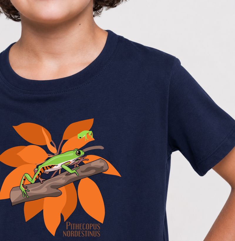 Camiseta Infantil Pithecopus nordestinus