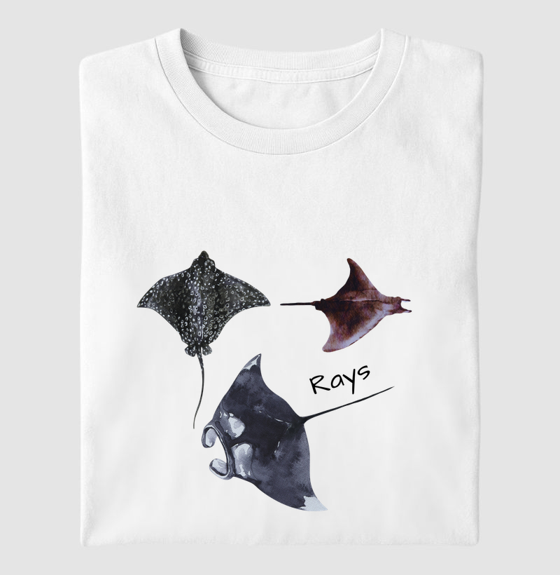 Rays