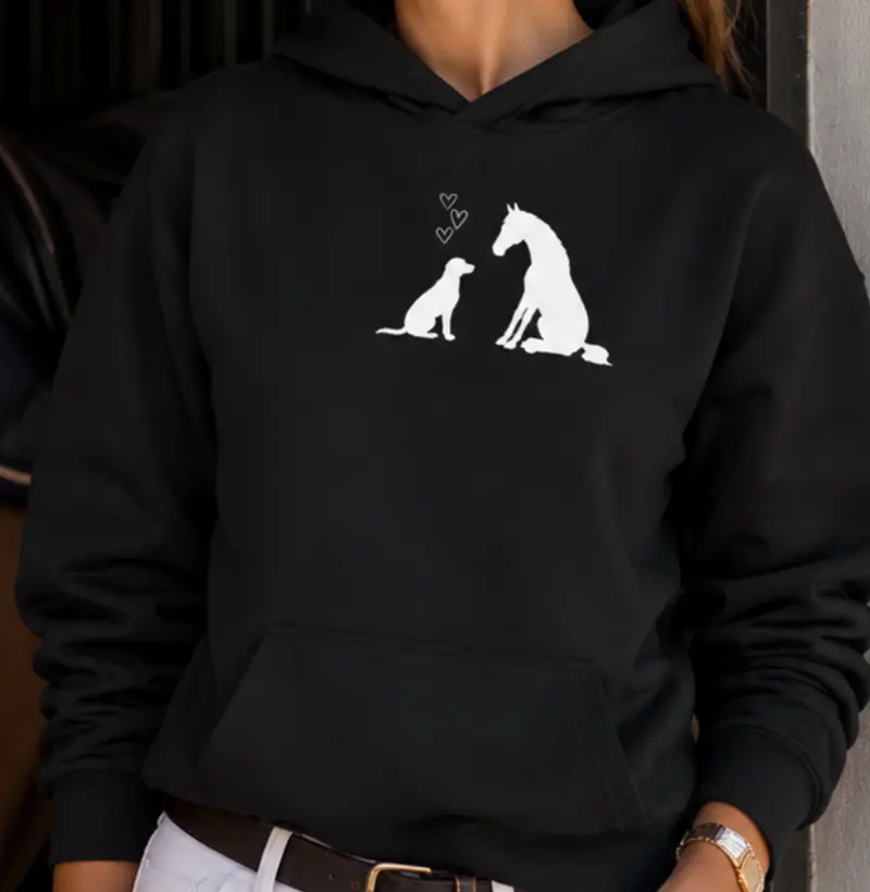 Amor Hoddie