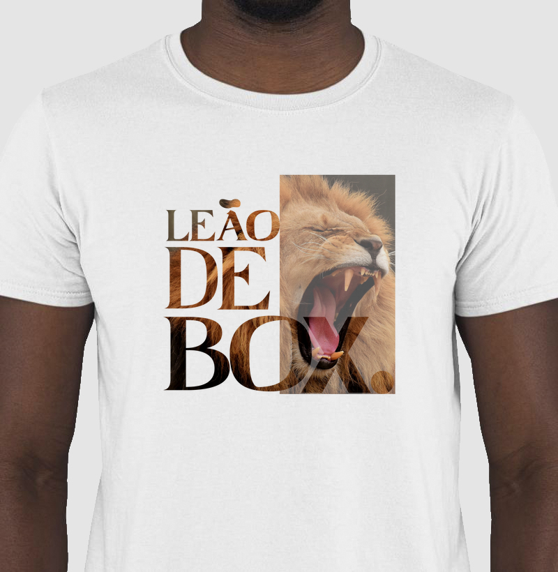 Leão de box, gatinho de champs!!!