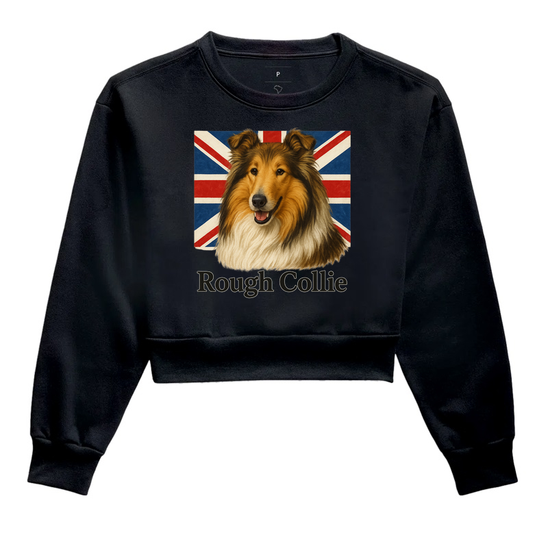 Rough Collie